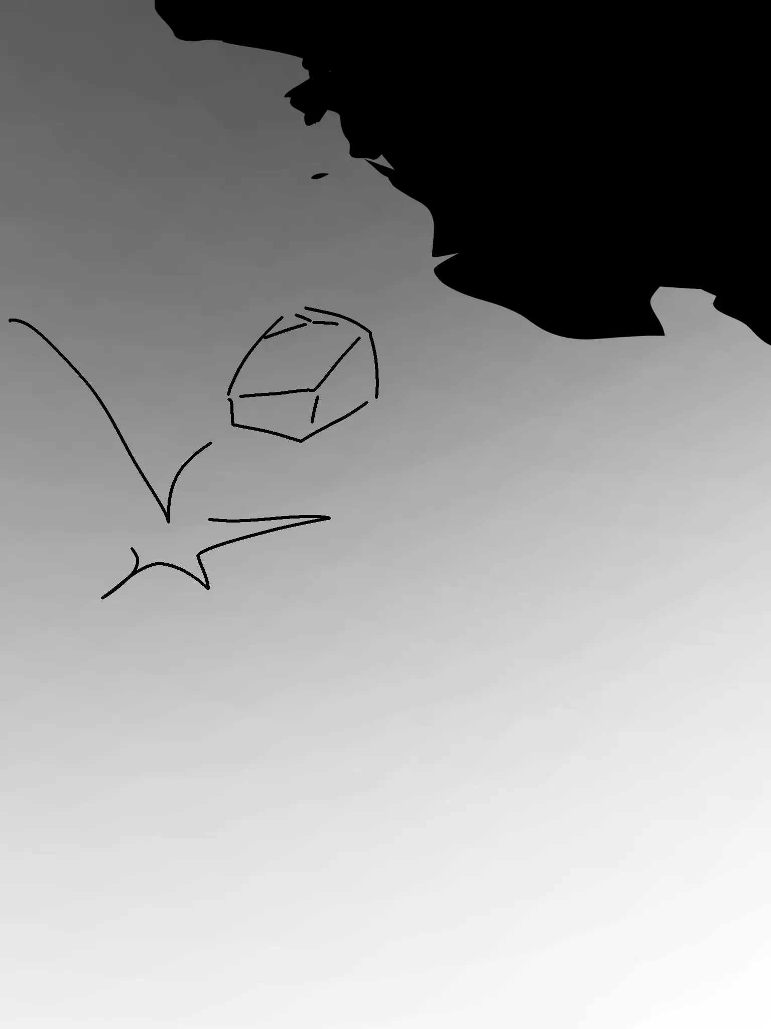 3ted의 이 고양이가 뭔 죄가있다고?