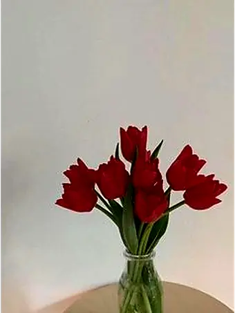 MeltyViola4945의 권지용