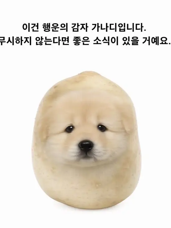 LoyalSitar6875의 아푼 도일이를 간호하지마세요!
