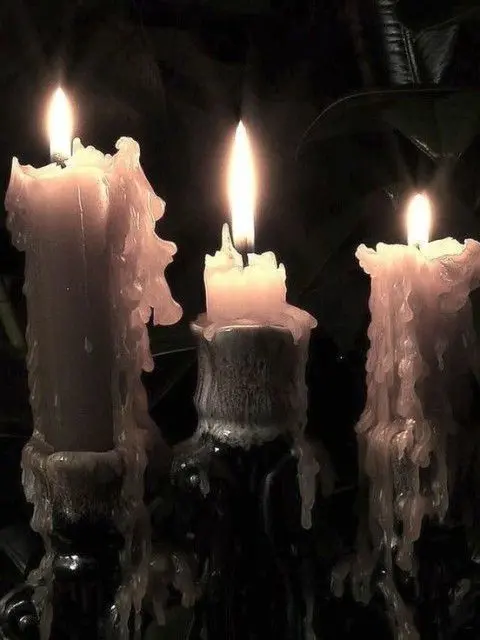 SVT88의 야루야루