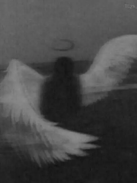 Angelcore의 落花流水