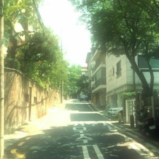 정공룡