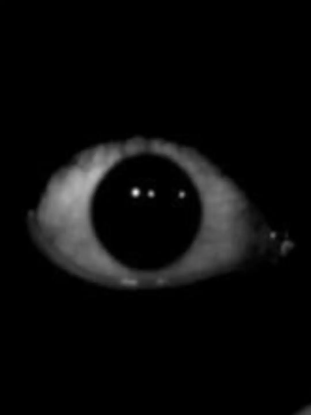 TREE_APPEL의 "코드 네임. 라이블러리."