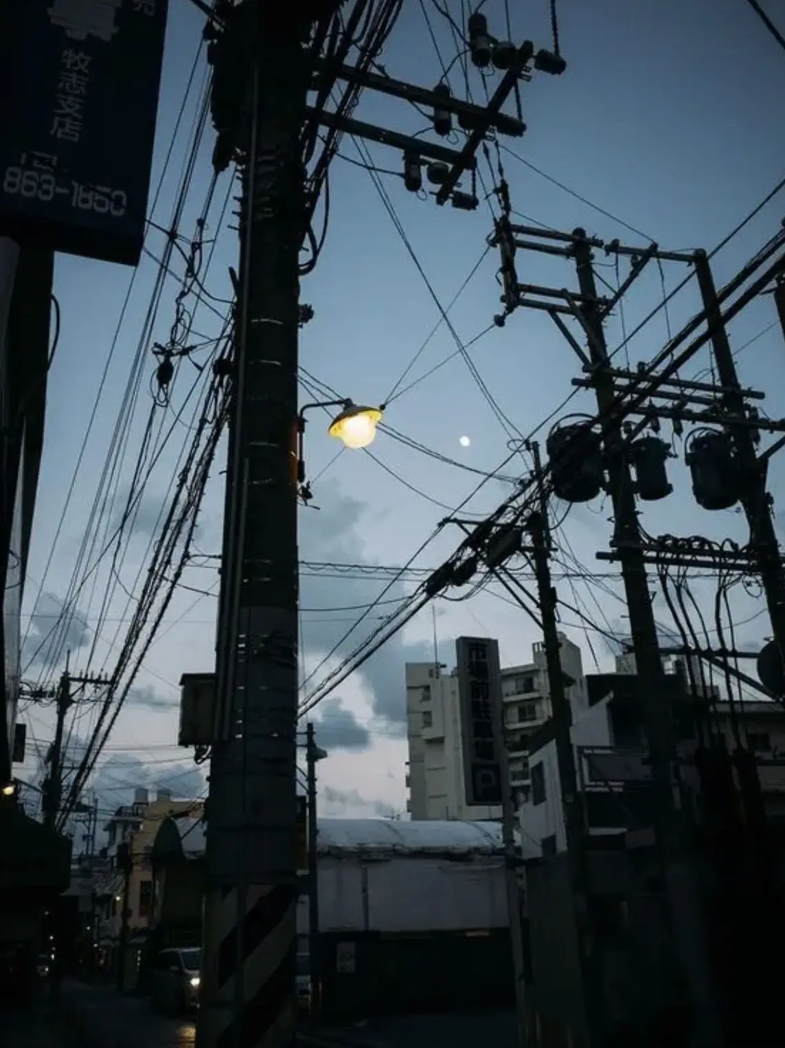 naninuneno의 近海の鯖