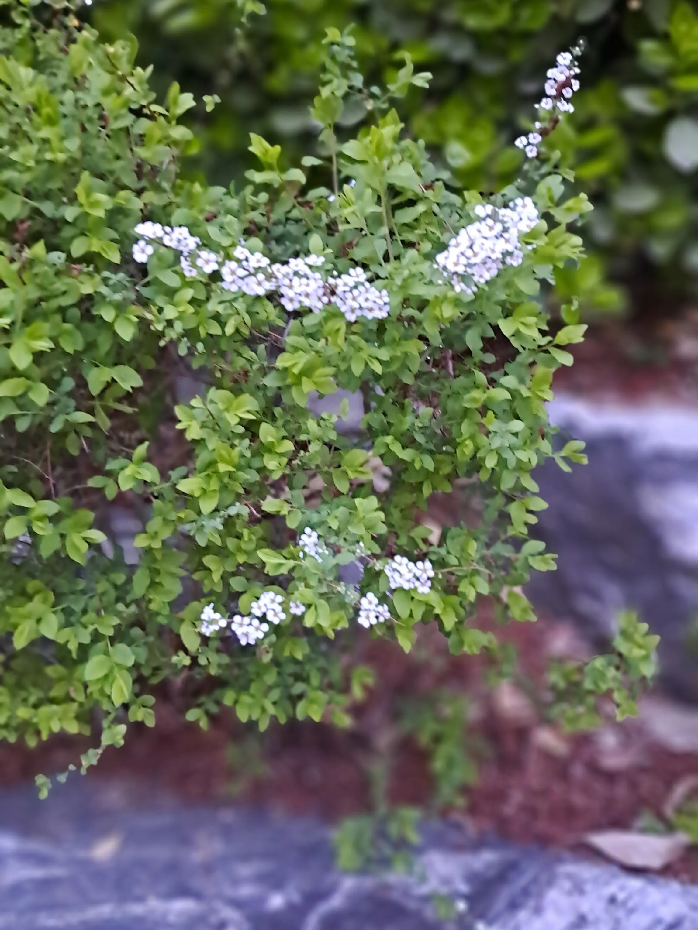 OldJam0964의 " 일어나셔야죠 , 아가씨 . "