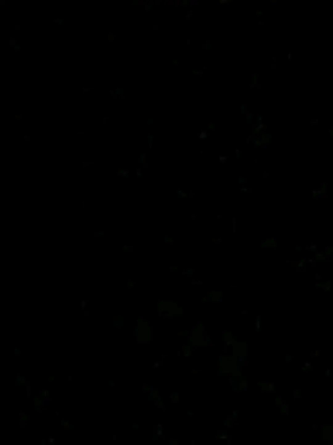 Enanang0430의 카미고 여우가 따라한다!?