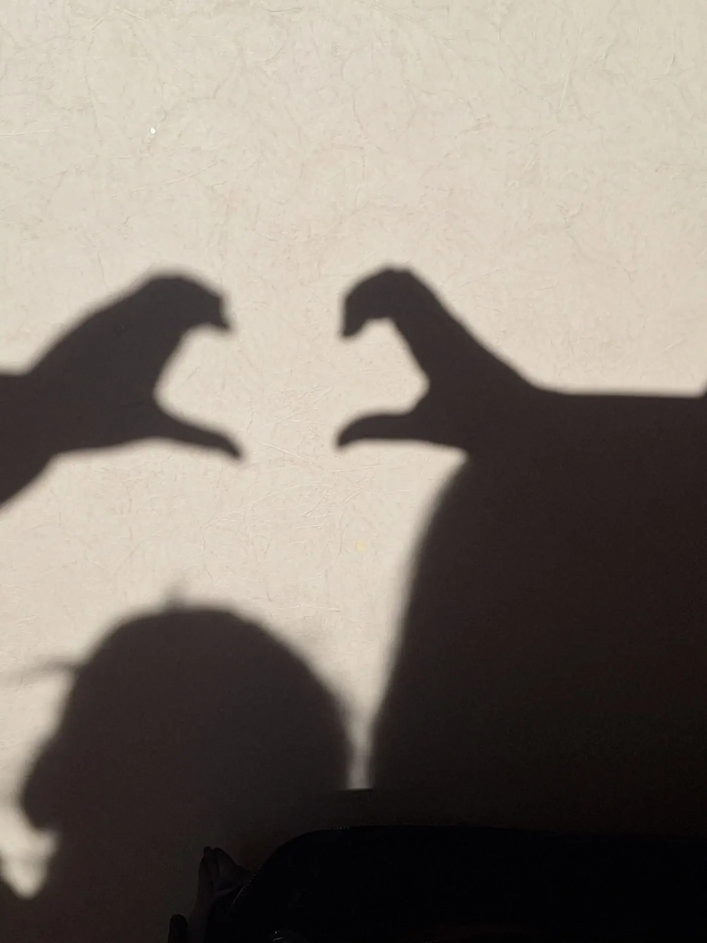 ddoddizzi의 체육대회인데 당신이 아프다