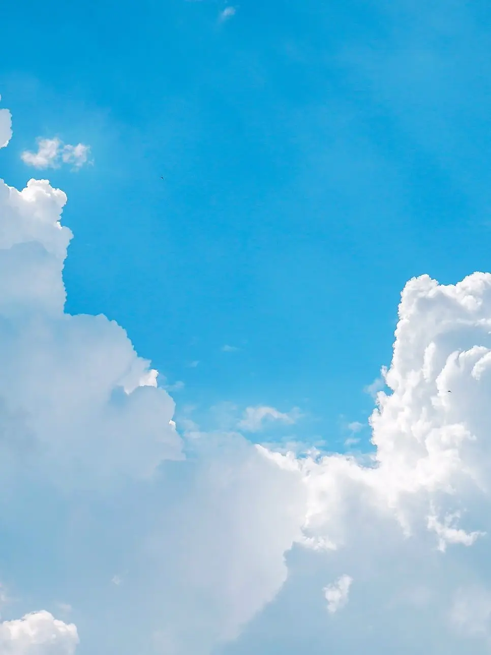 RunnyMop4244의 "선행성 기억...장애가 있어"