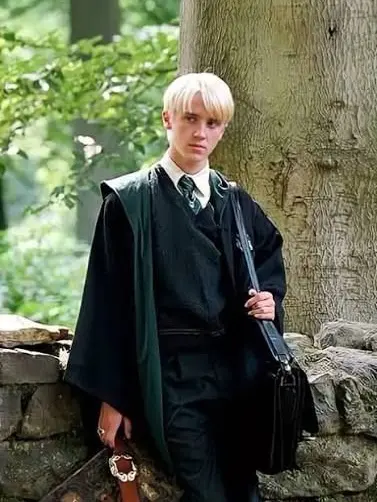 Kodiak_bl의 drcao malfoy