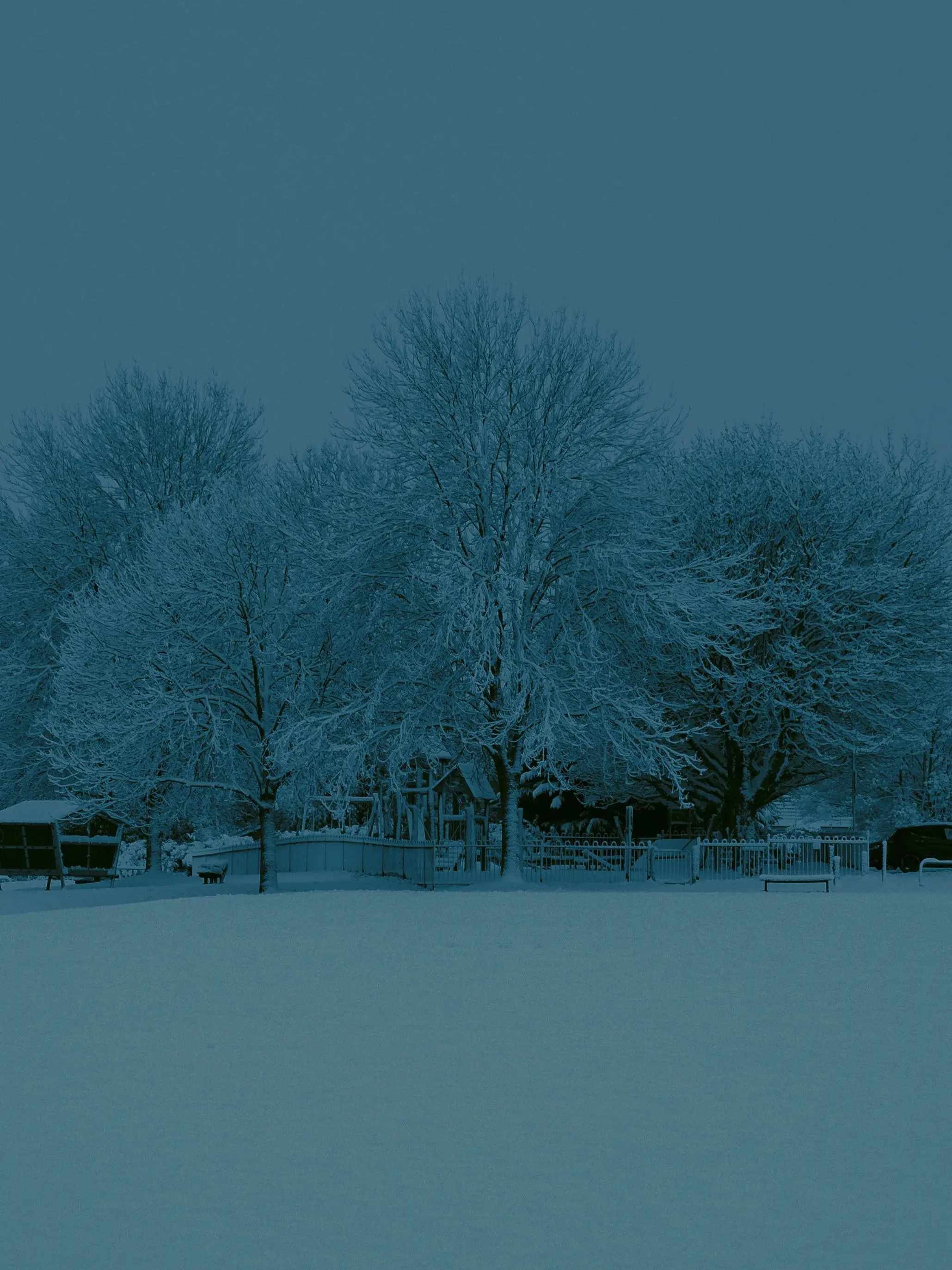 Star_Way_0001의 MSU—Cozy Winter Days