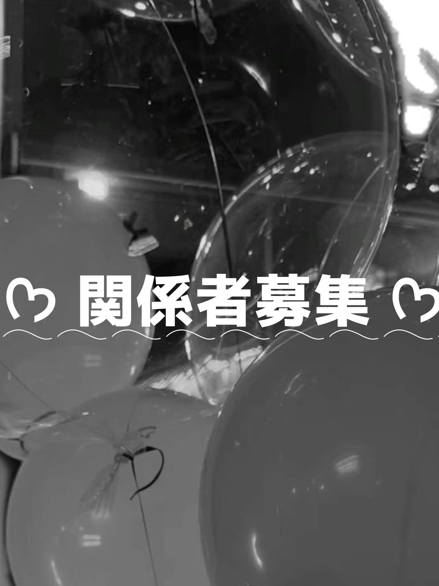 NOKO22의 のこの関係者募集会~.ᐟ‪