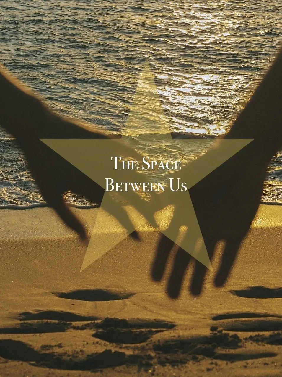bearminimum의 🌻 The Space Between Us