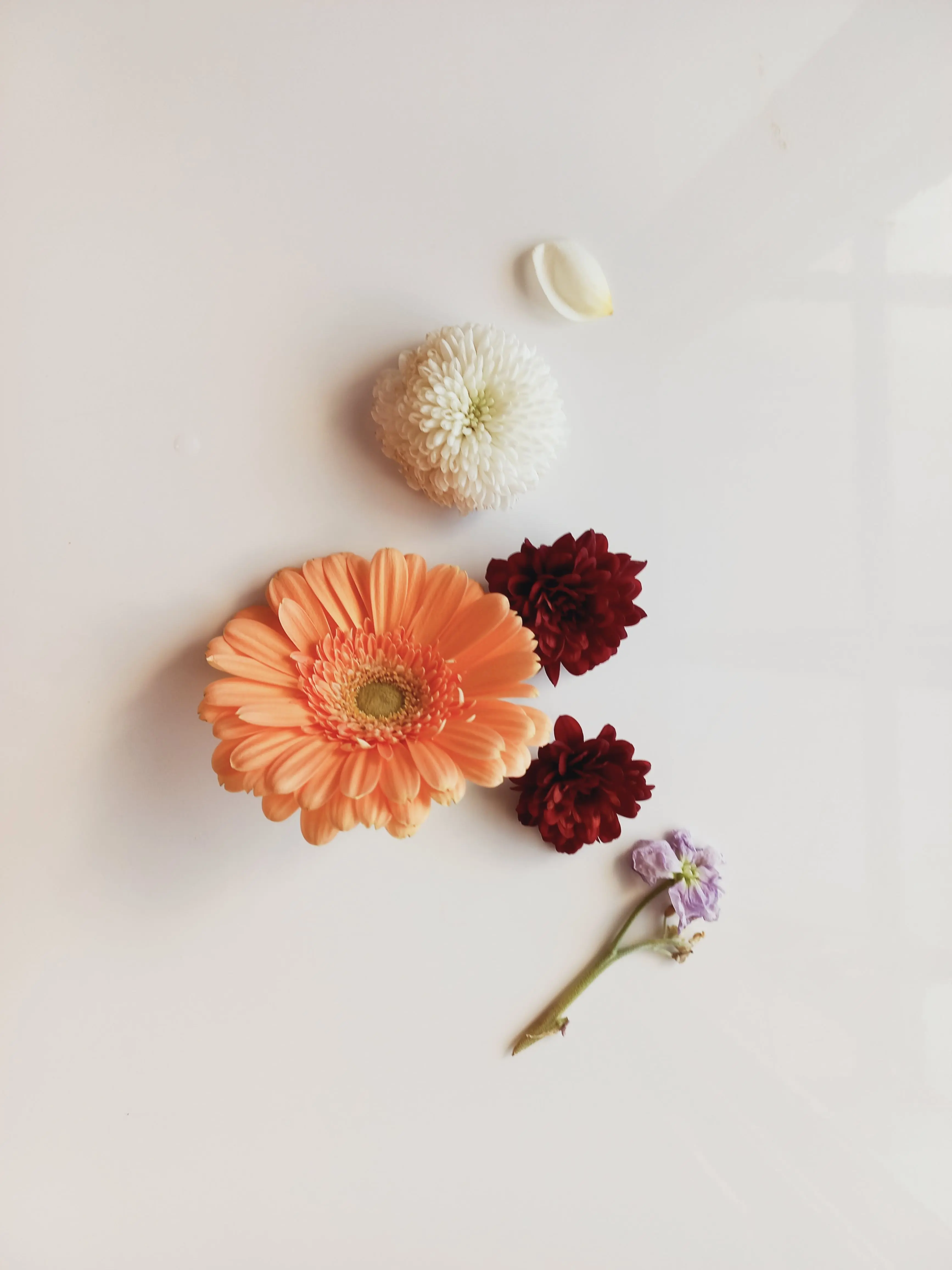 SquarePasta3199의 꿹뚫쒥