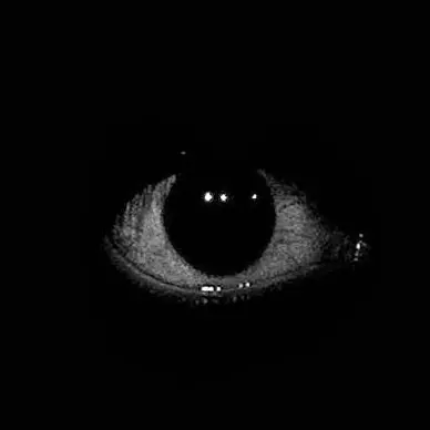 Pleasestandbyme의 Chilling Stalking