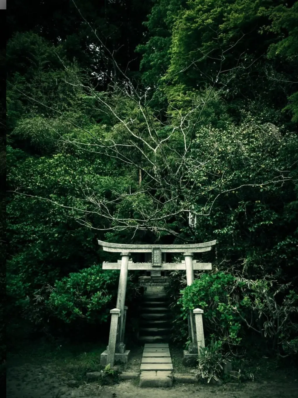 QuaintPlank7979의 神社の神様。