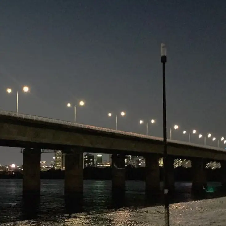 nitsukuTBTB의 🌶🌱🌵🐰💰☕️🍞