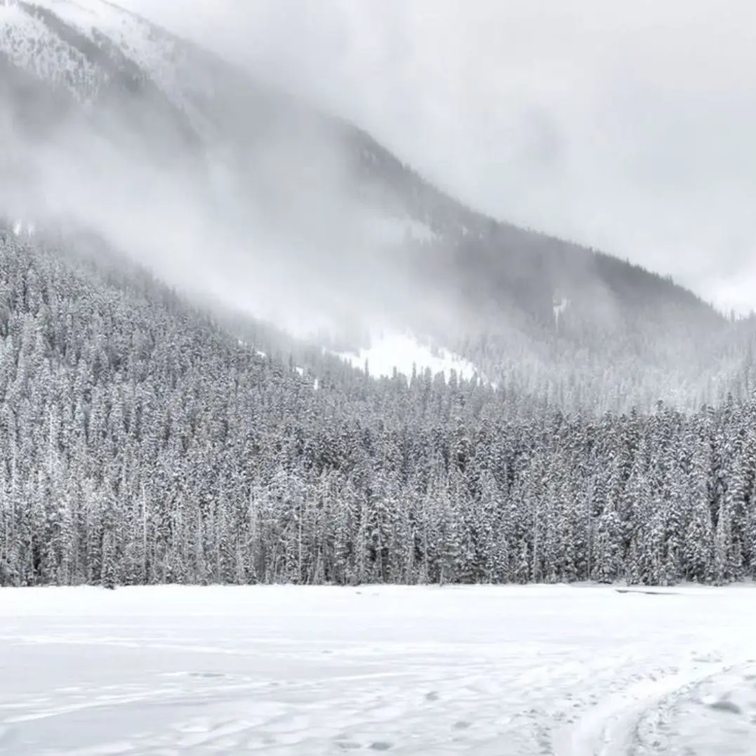 BroadWeek1232의 그때 그 소녀는