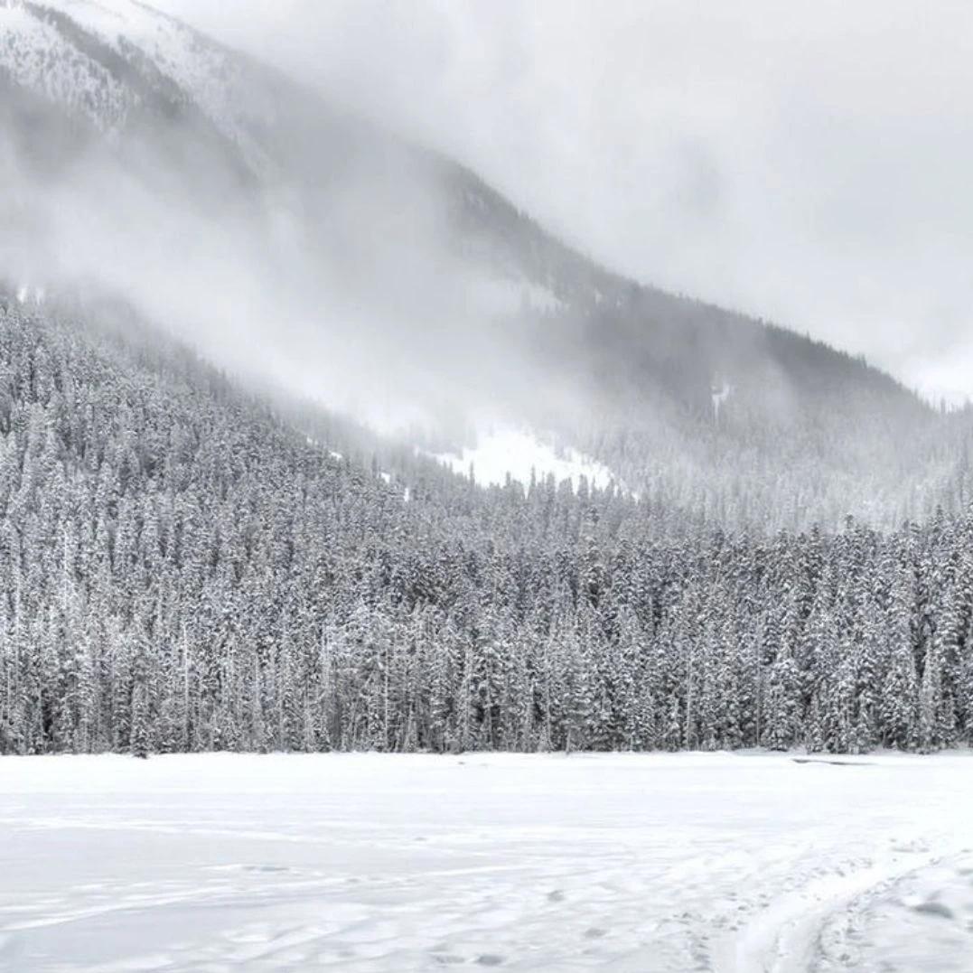 그때 그 소녀는