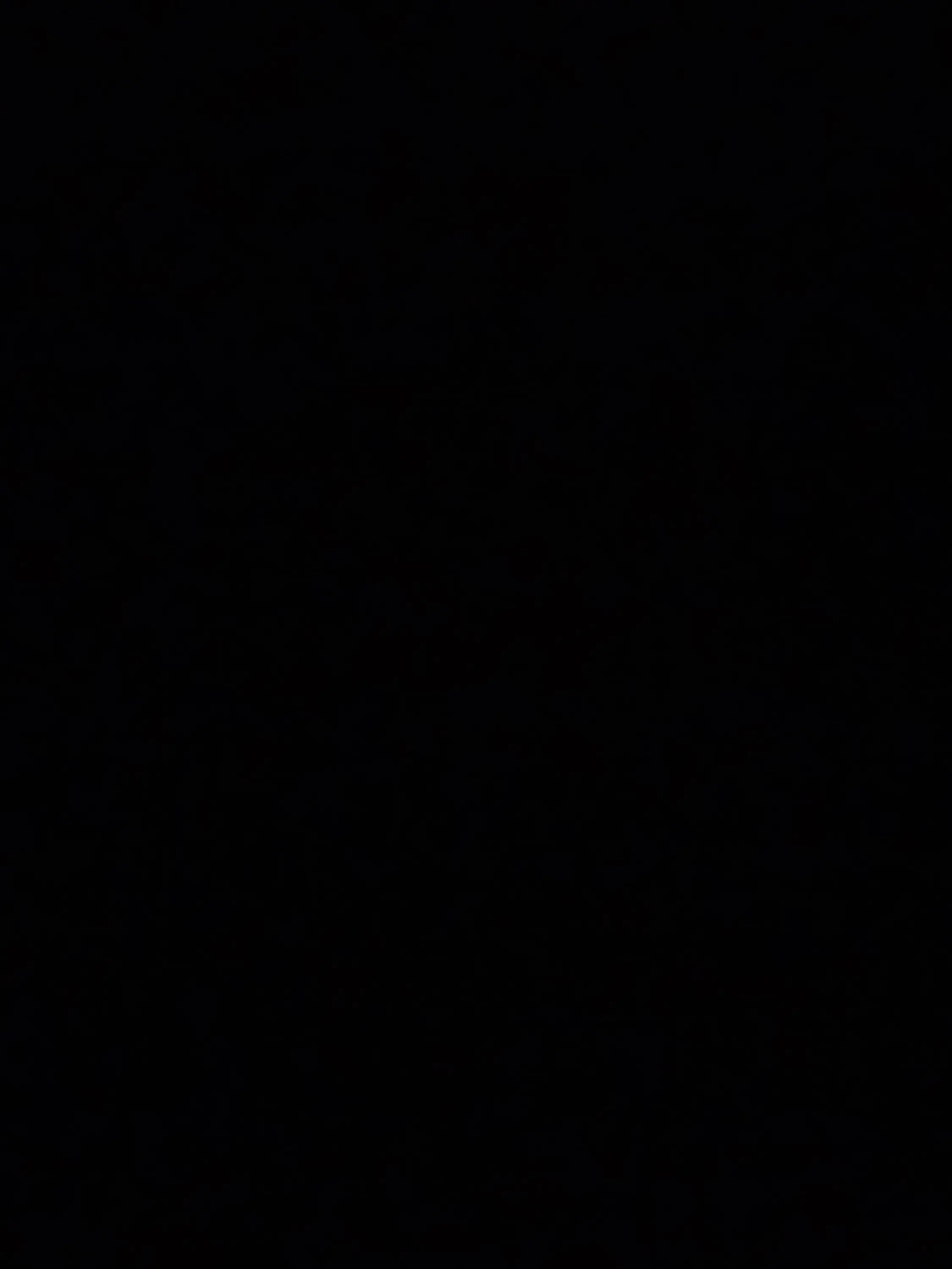 WeakLoris9969의 이씨 집안