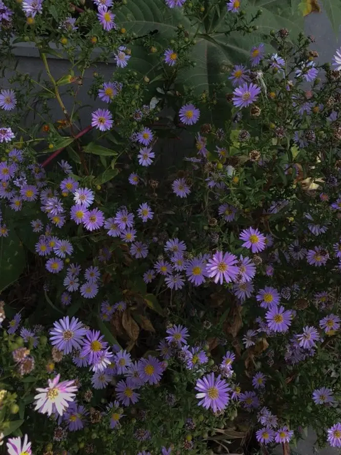 FairOboe3477의 황수현