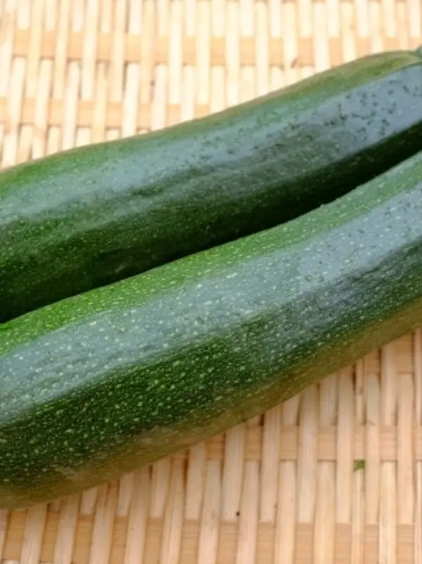 AHODEBAKA4649의 Zucchini is World
