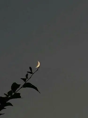 ASIBALJIP의 코드네임 X