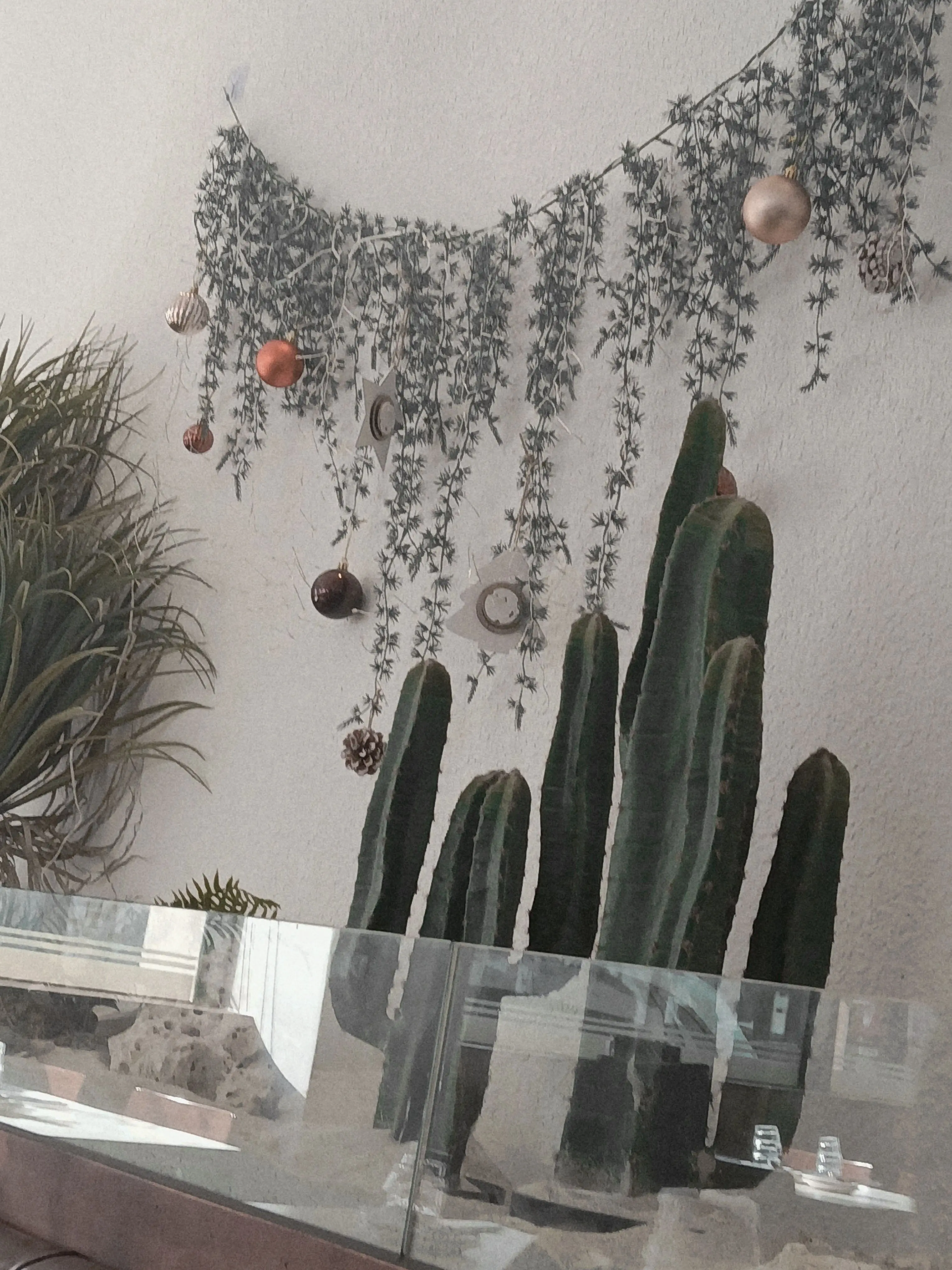 SleepyLeech5599의 마음대로