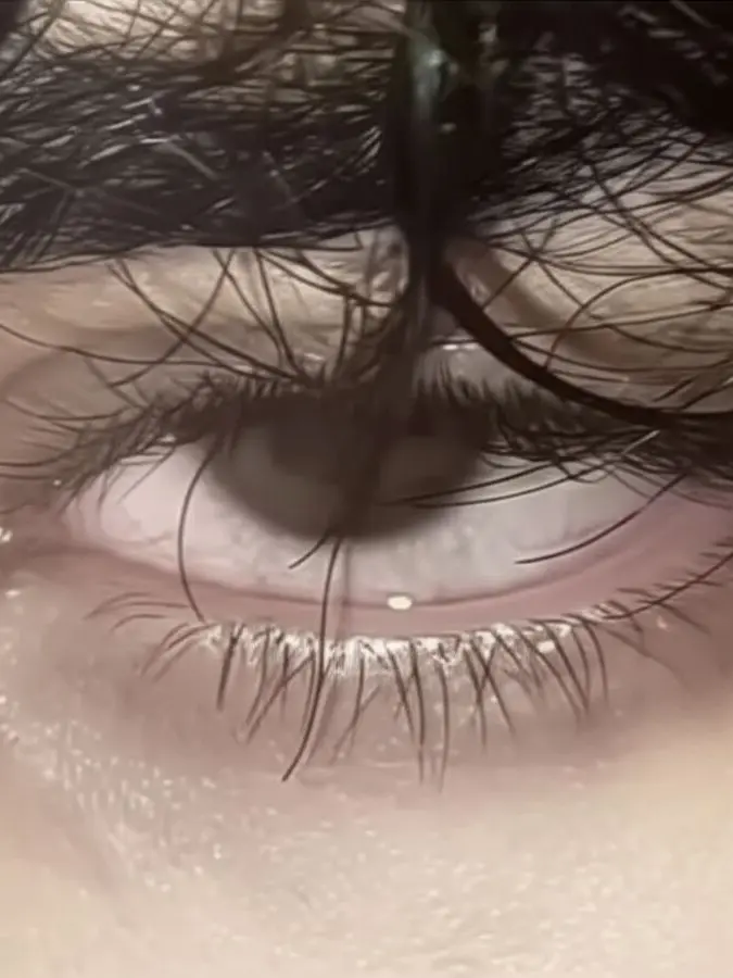 ariana_janexx의 your student