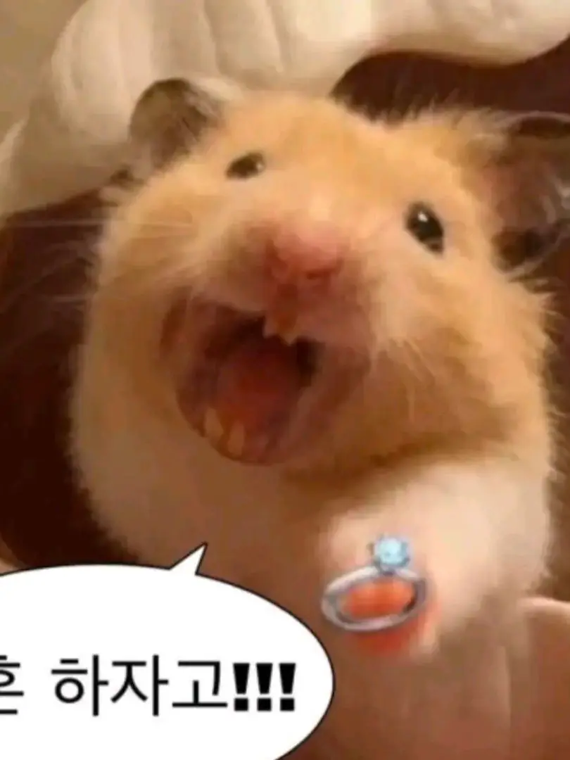 mmqqvcxx의 나와 바람피는 사네미