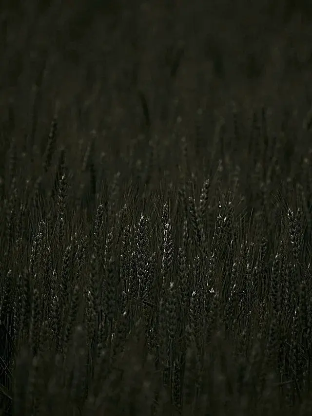 799nd0m.의 마지막 낙원.