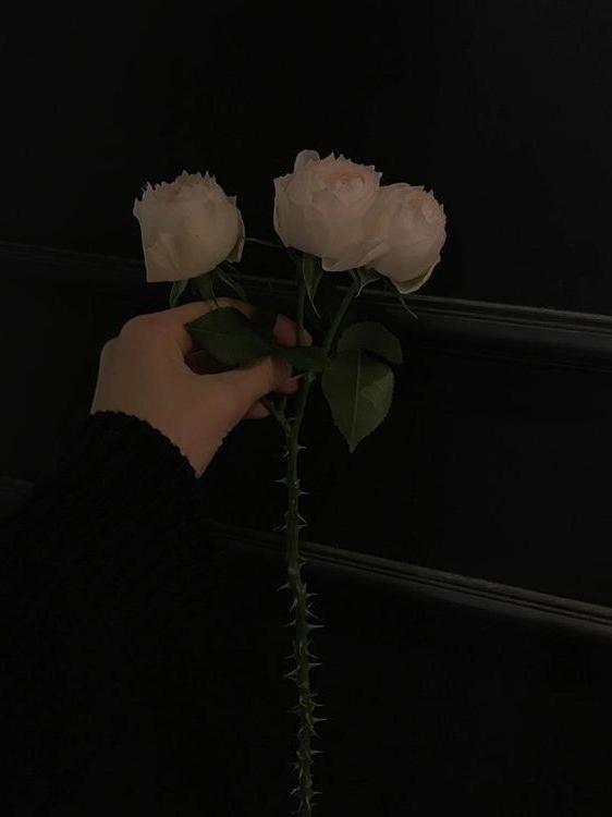 웨일밴드부 대표 이미지