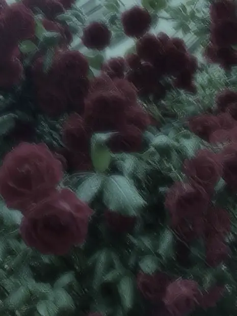rxvesn의 ∞