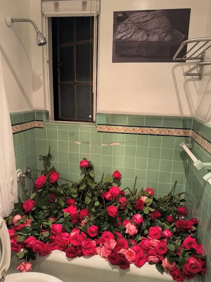 Not_my_fault의 花言