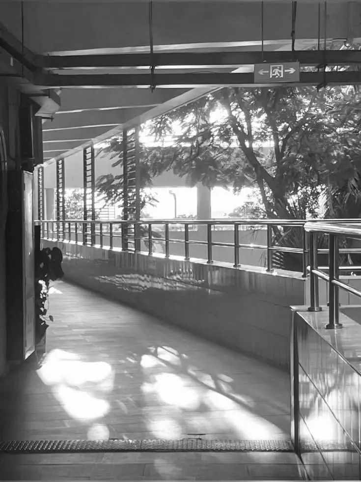 CFtt616의 남녀무리 / 여우 2명