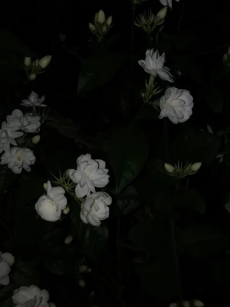 XXXX_lllll의 휴가