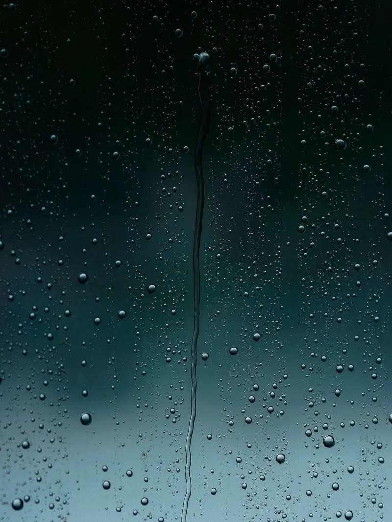 YONEM의 쉐도우밀크