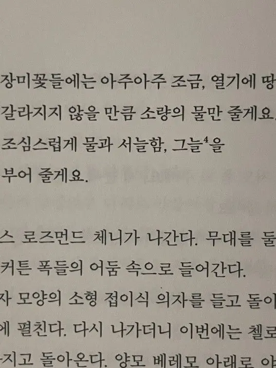 soccer_ball의 미하엘 카이저