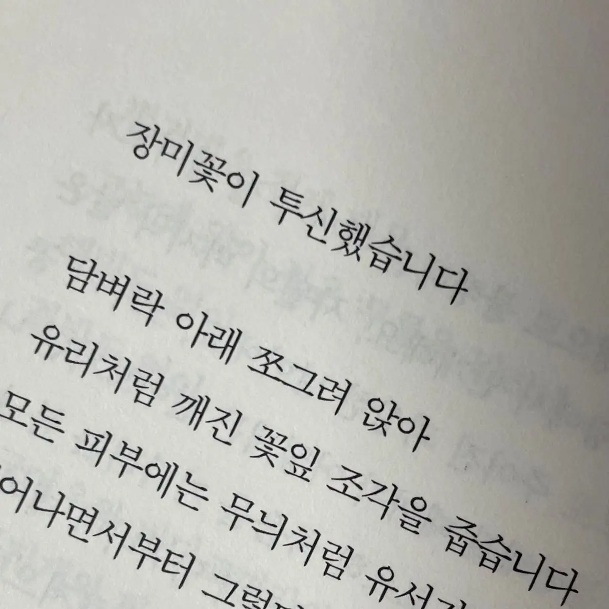 S_gxn.의 미하엘 카이저