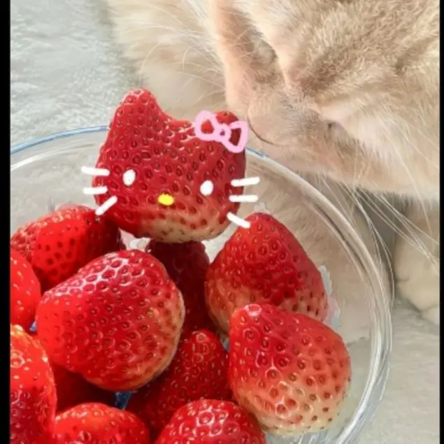 NimbleCold3867의 컨휴들 술자리 🍷