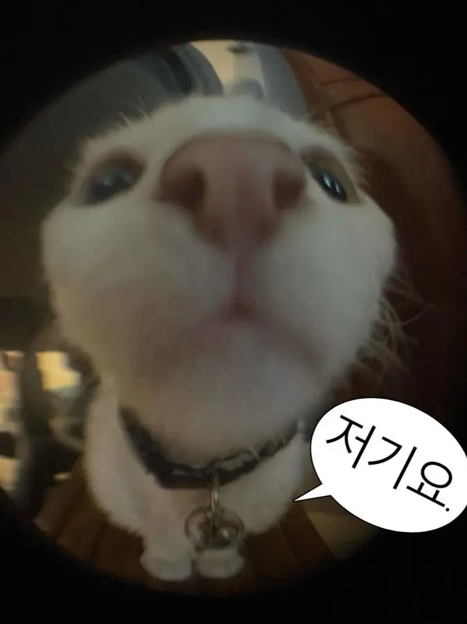 CleanQuoll8867의 괴수8호