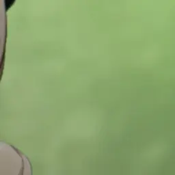 WhiteCake의 My dream is idol!