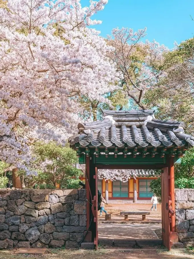 h.ooq.llp의 따뜻한, 봄날 너와 나는