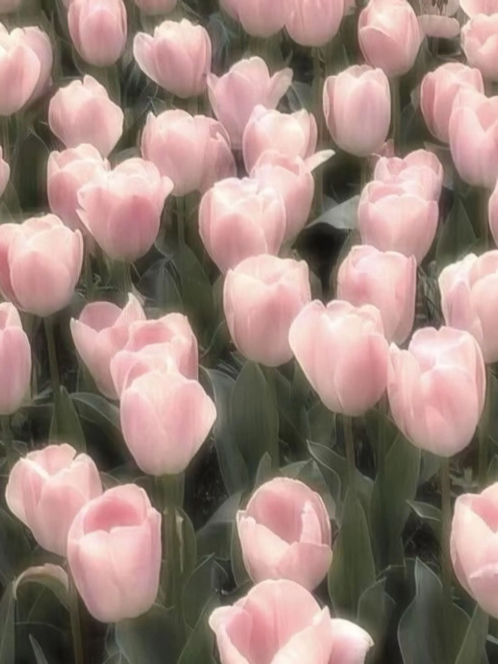 Sososo.의 "...."