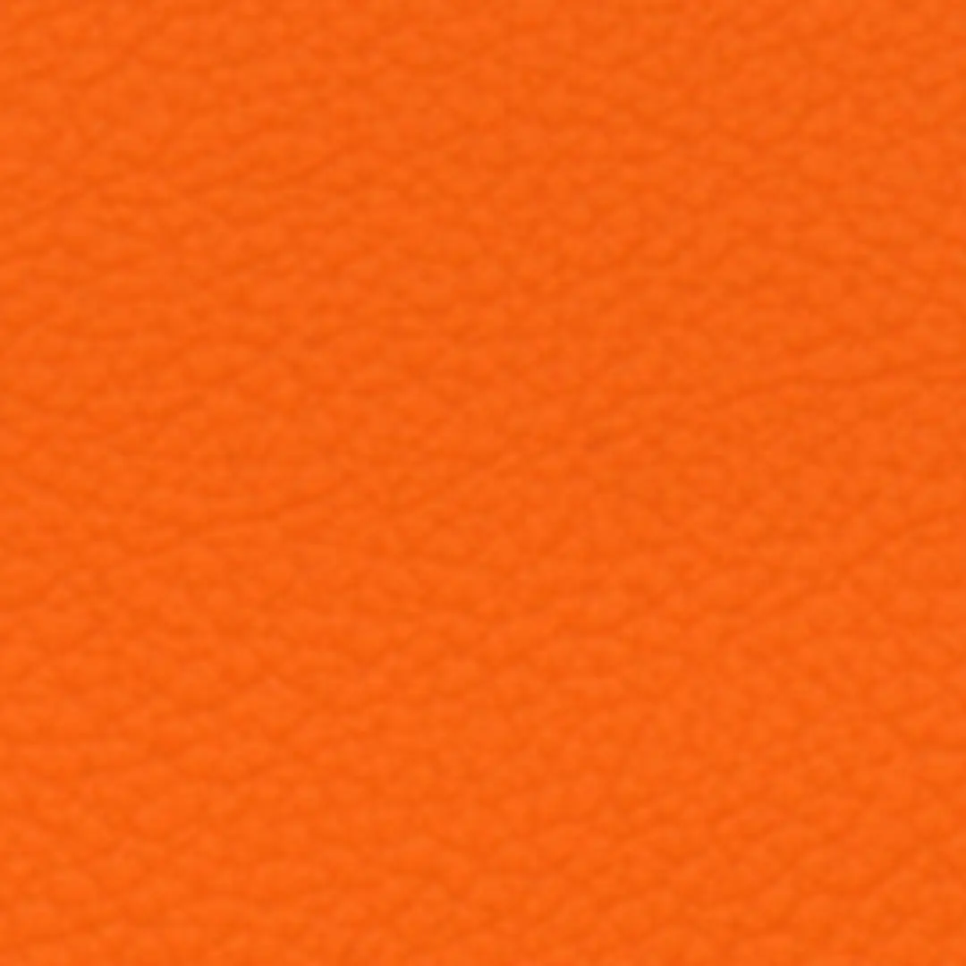 tano123456789의 向井康二