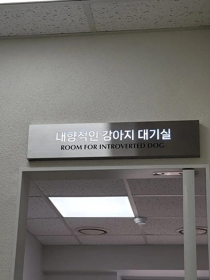 everysecondonlyyou의 제발 가만히 좀 있어봐!!