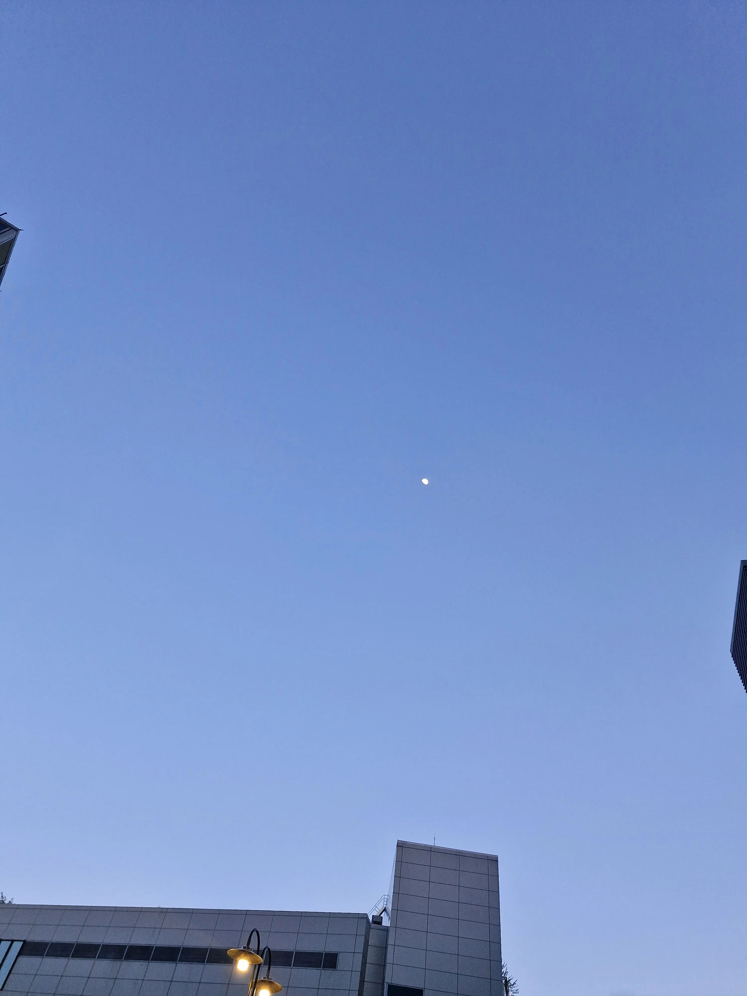 hret의 여우의 실수🦊