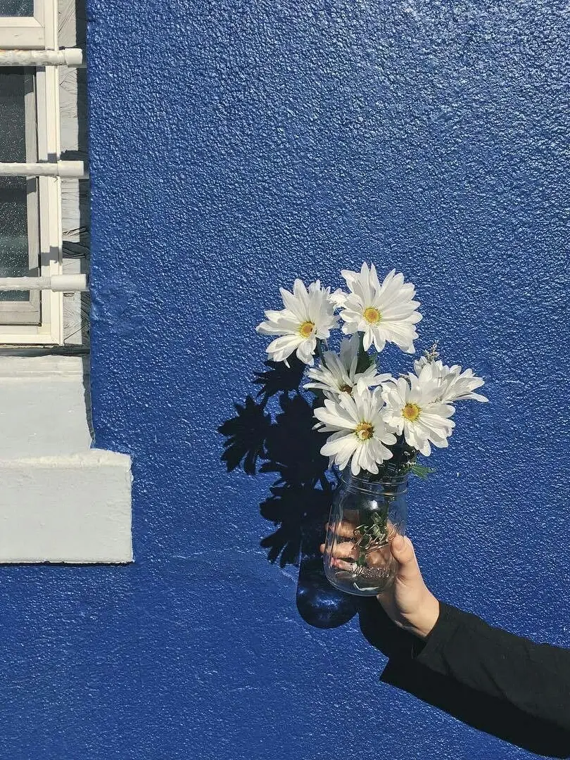 Someone_body의 수호천사는 사람이 싫다