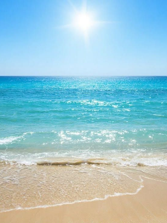 해즈빈 호텔 여름맞이 바다 여행!🌊 대표 이미지