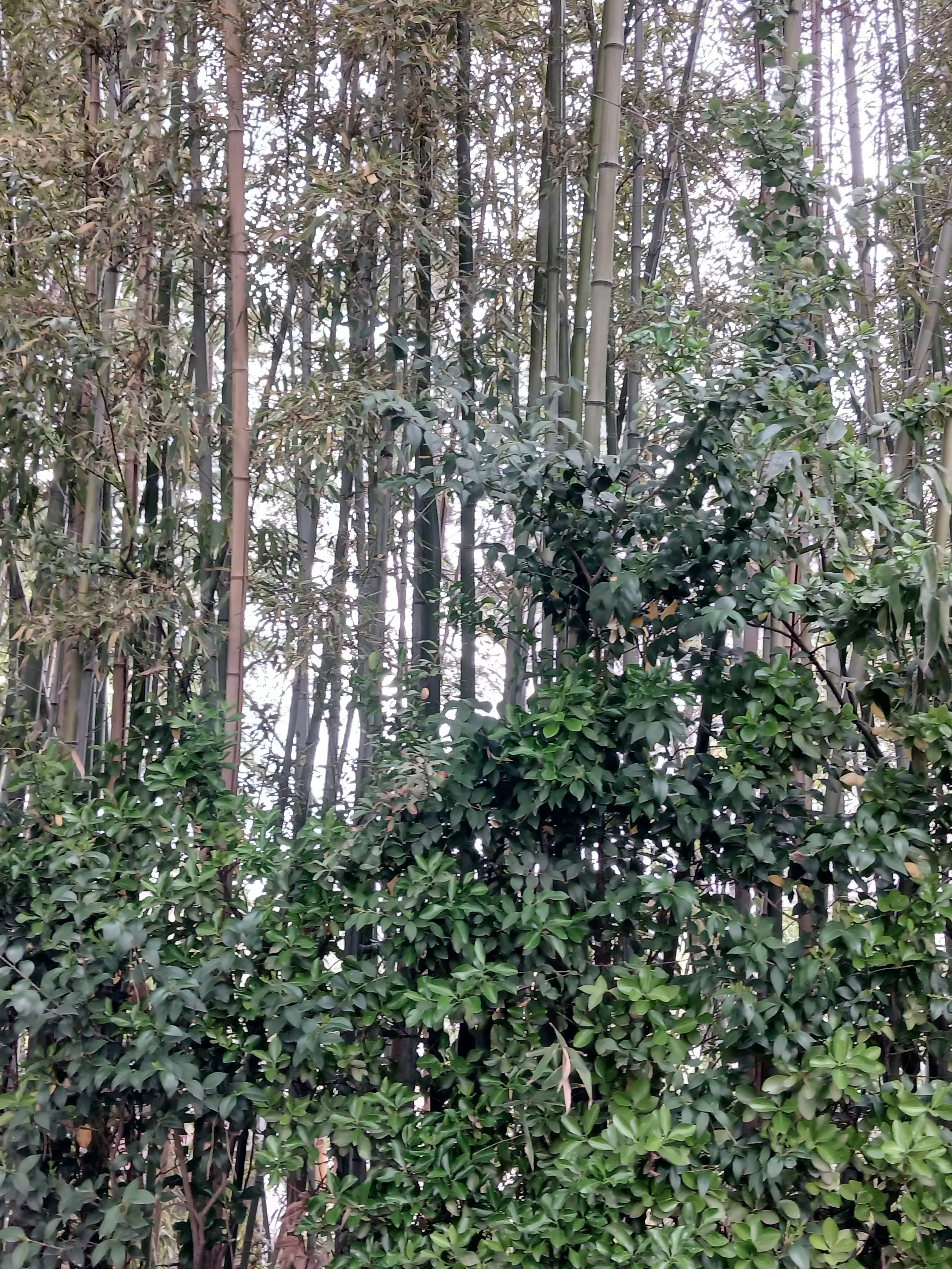 UE990510130823의 내꺼내꺼내기유탄내꺼내꺼내빵집기유탄내꺼