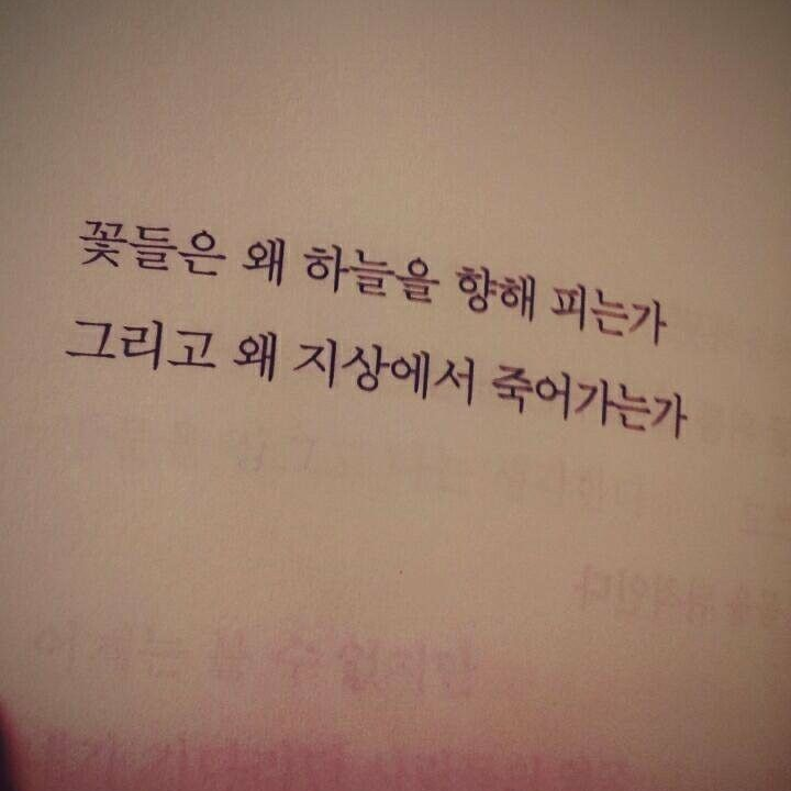 에 스 파 대표 이미지